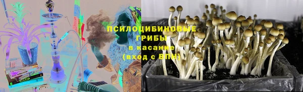 ALPHA PVP Костерёво
