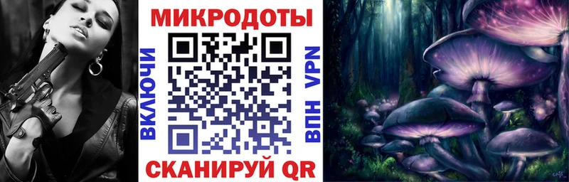 что такое   Юрьевец  кракен рабочий сайт  Псилоцибиновые грибы Psilocybe 